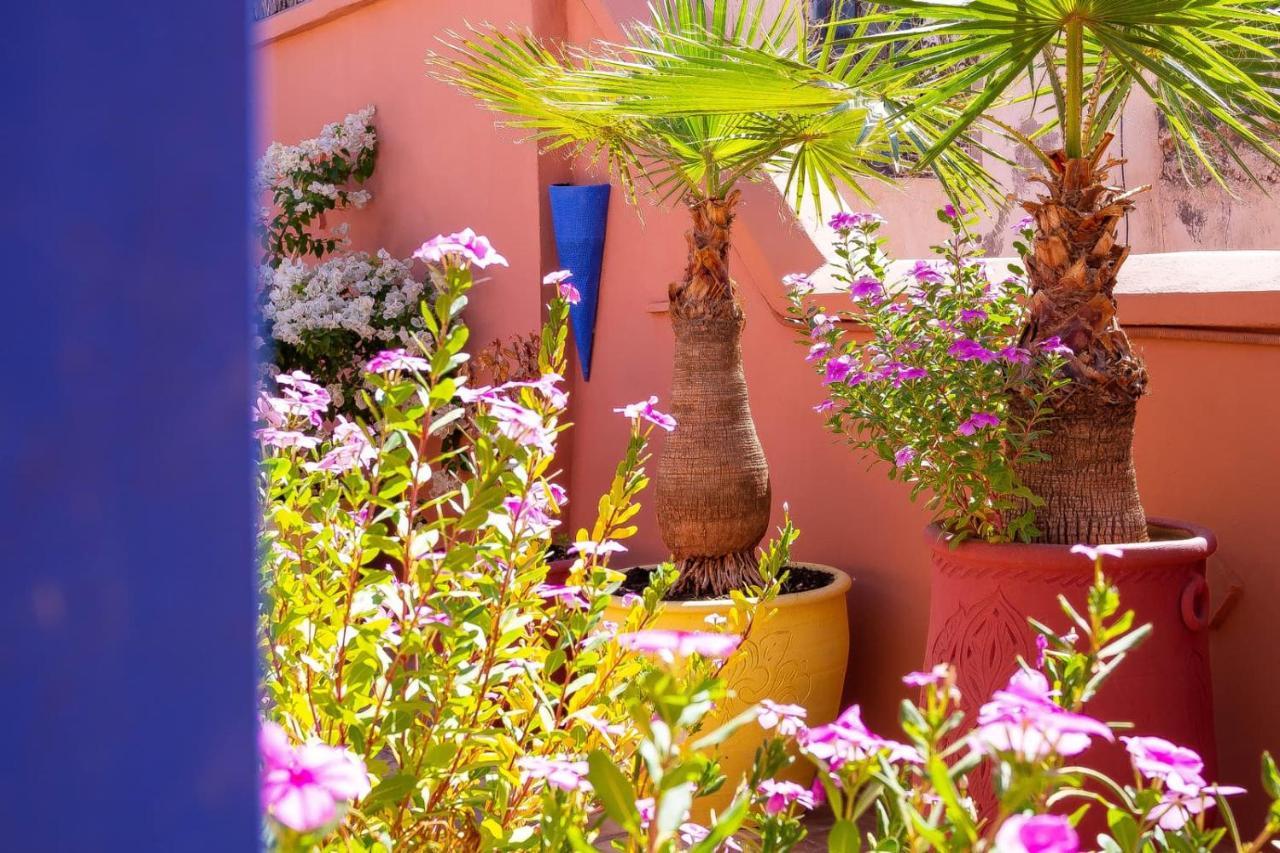 Riad Kamal Medina มาร์ราเกช ภายนอก รูปภาพ